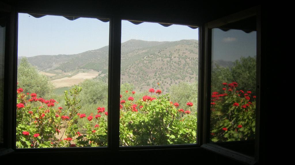 Finca La Piedra Holidays Alora Cameră foto