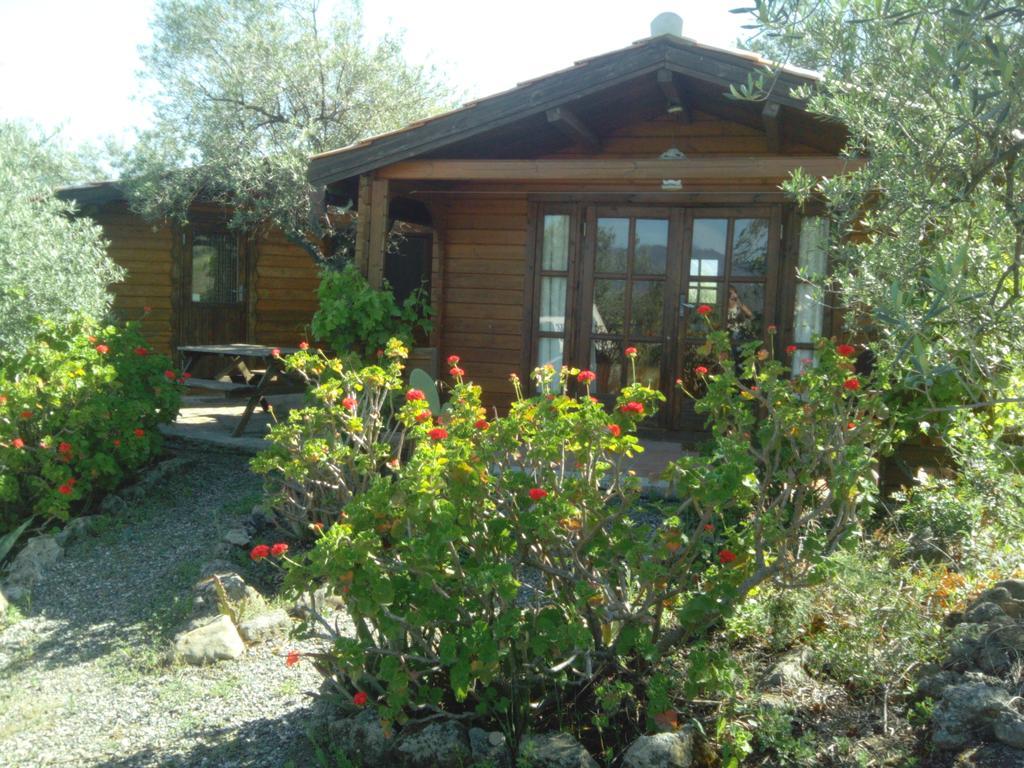 Finca La Piedra Holidays Alora Cameră foto